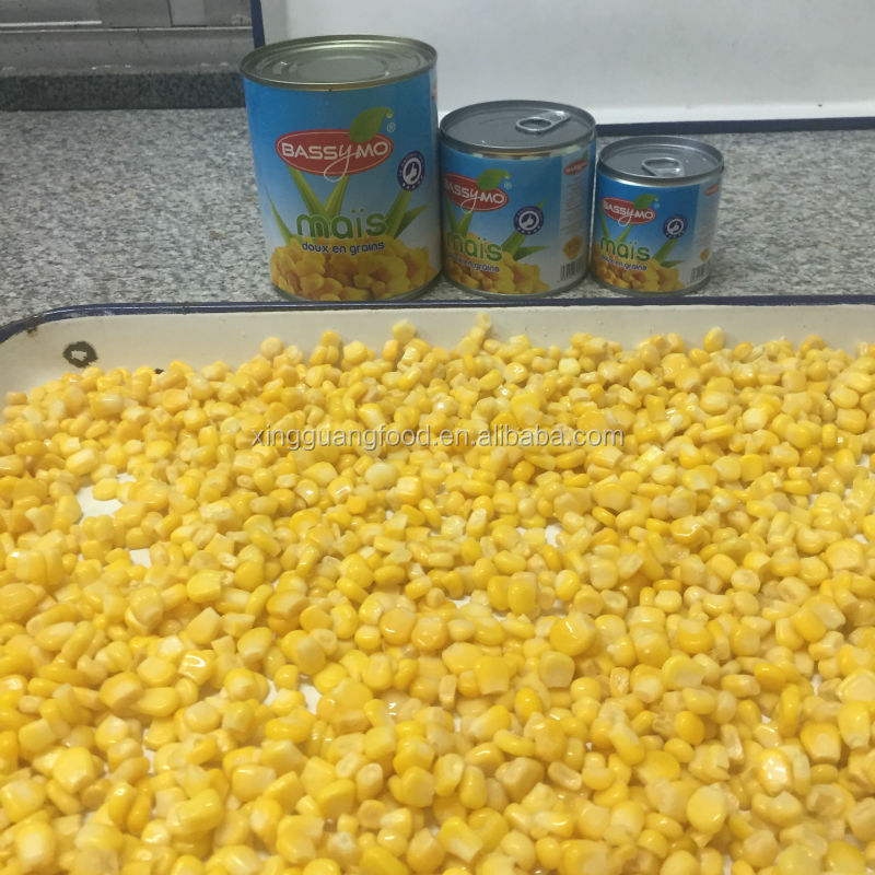 Food corn Vegetable Best Selling Quality