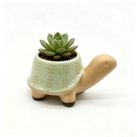Petit pot en céramique en forme de tortue, motif floral en relief, mini pot à succulentes et cactus, créatif, pour bureau, vert, vente en gros