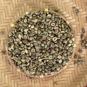 Premium Vietnam Robusta Coffee Beans AA + Tamaño 16 Exportación a granel Más de 90% Maduración Embalado en 60kg Bolsas de PP al por mayor - Product Image 1