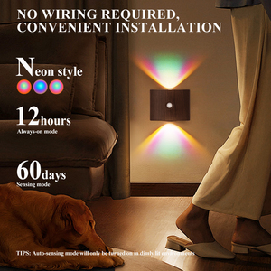 Hiện Đại Thông Minh Trang Trí Nội Thất USB Có Thể Sạc Lại Neon RGB Đèn Ban Đêm Không Dây Từ Cảm Biến Chuyển Động Trong Nhà Cầu Thang Dẫn Ánh Sáng Bức Tường - Product Image 3