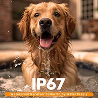 Hunde-Trainingshalsband 800M mit Fernbedienung, Innovatives IP67 Wasserdichtes Erziehungshalsband mit 4 Trainingsmodi für Alle Rassen