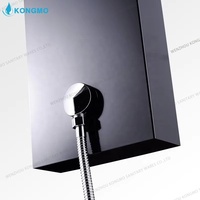 Système de panneau de douche en acier inoxydable à 5 fonctions avec cascade de pluie LED et valve en céramique pour douchette à usage hospitalier