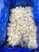 Bevroren Lycheepulp, ontpit, voor bubble tea en verfrissende dranken, natuurlijk zoet fruit