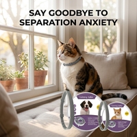 Collier apaisant CHANSON en gros pour chats et chiens, à ingrédients naturels, réglable, à la lavande, pour réduire l'anxiété et favoriser le calme