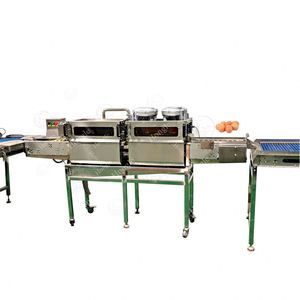 Lavage et séchage des œufs F2 Machine à casser désinfectante Machine à laver de nettoyage des œufs de poulet - Product Image 6