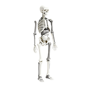 Tùy chỉnh xương giả dựa trên resected xương hình Thái poroustitanium hợp kim 3D in cho sau phẫu thuật xương khối u sửa chữa - Product Image 2