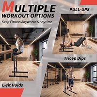 IUNNDS Dip Stand Parallel Bar Multi Gym Equipment for Arms & Full Body Workout Home Use Metal Fitness Pull up Bar