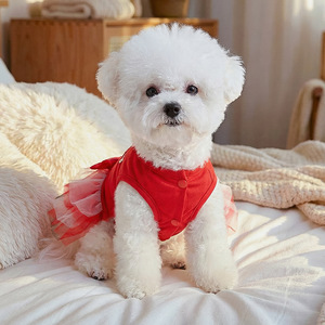 PETCIRCLE Spring/Summer New Pet Clothes for Small Dogs, Pomeranian & Teddy, Pink Sweetheart Valentine's Day Tutu Skirt - Product Image 3