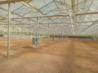 Système hydroponique, serre en verre Venlo, serre agricole commerciale pour la culture de tomates et de légumes