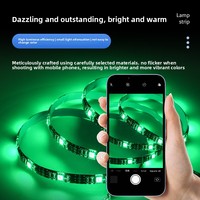 Vente en gros de lumières colorées à basse tension 5V, USB, autocollantes, pour fond mural, bricolage, bureau d'ordinateur, lumière d'ambiance LED flexible, TV