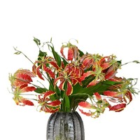 Whh Marke Künstliche Seidenblumen-Arrangement mit Zweistängeligen Gloriosa-Lilien (Flammenlilie) Modell Whh-214 für Hochzeitsfotografie