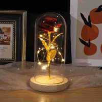 Rose sous cloche en verre avec lumières LED, cadeau pour maman, femme, petite amie, fleurs et plantes immortelles