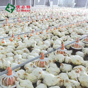 Лидер продаж 2022, кормушки и поилки для птицы, сельскохозяйственное оборудование для цыплят