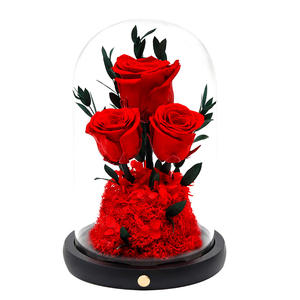 Fleur Éternelle Sansheng III, Roses Naturelles Conservées, Petit Prince sous Cloche en Verre, Longue Durée, Décoration de Table, Noël, Saint-Valentin - Product Image 6