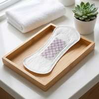 Protège-slips jetables quotidiens personnalisés à faible MOQ, respirants, sans ailettes, avec protection anti-fuites légère, doux et biodégradables pour femmes