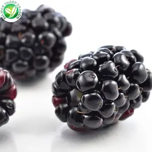 IQF Freeze Organic Frozen Fresh Blackberry Wild Healthy Unsweetened Black Raspberries Fruit Seedless Great Value Wholesale Price