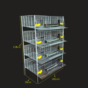 Jaula para Codornices Totalmente Automática a Buen <span class=keywords><strong>Precio</strong></span> - Product Image 4