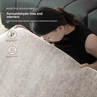 Tapis de style italien, luxe léger, couleur unie, imperméable, résistant aux taches, facile d'entretien, pour salon, décoration intérieure