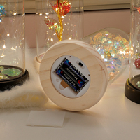 Lampu LED String dengan Kubah Kaca Mawar Berlapis Emas Buatan Tangan, Bunga Abadi dengan Kemasan Kotak Hadiah, Hadiah Romantis untuk Hari Valentine