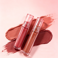Rouge à lèvres liquide mat velours personnalisé avec logo de marque privée, haute pigmentation, waterproof, longue tenue, léger, sans transfert