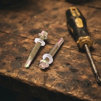 Vis autoperceuses et autotaraudeuses hexagonales droites en acier au carbone zingué classe 12.9 Zhunte HF avec rondelle pour béton – Garantie 3 ans