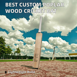 Bates de Críquet de Madera de Álamo con Logotipo Personalizado, Ligeros y Duraderos, para Exteriores, de 6 a 8 Años, OEM ZAP Sports, Precio Bajo - Product Image 2