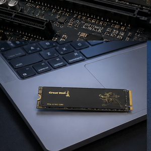 Great Wall GW5000 NVMe PCIe4.0 Interface 2T 3D NAND Flash Micron SK Hynix Kioxia Haute vitesse de lecture et d'écriture pour utilisation interne sur PC - Product Image 2