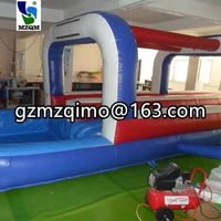 Glissière gonflable du glissement d'eau N d'été adulte tropical commercial de double ruelle pour la piscine