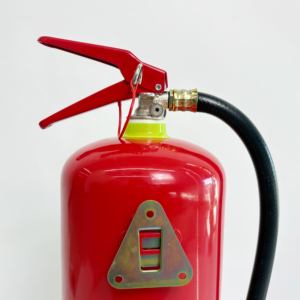 Extincteur à poudre sèche portable de haute qualité CE DCP à double couleur, 6 kg, personnalisé pour l'extinction d'incendie - Product Image 2