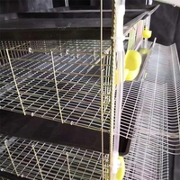 Conception d'élevage avicole pour cages d'élevage de poussins de chair d'un jour