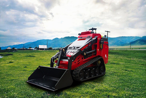 Minicargadora Nueva 2023 para Contratistas de Paisajismo, Minicargador Orugas - Product Image 3