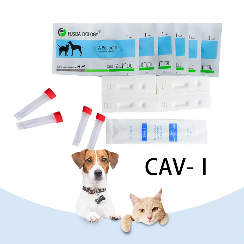 Fusida fabrika fiyat köpek enfeksiyöz hepatit antijen testi/Cav Ag Oem