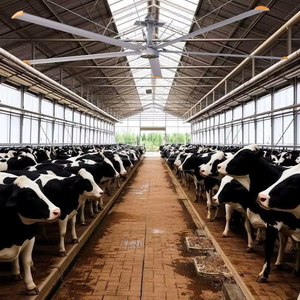 พัดลมระบายอากาศคุณภาพสูง HVLS พัดลมใบพัดใหญ่ 16 ฟุต พัดลมเพดาน ระบายความร้อน 14850 ลบ.ม./นาที 60-120 OEM ผู้ผลิตพัดลม HVLS - Product Image 1