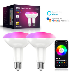 <span class=keywords><strong>Ampoule</strong></span> LED Intelligente Tuya RGB Ra80 avec Télécommande E27, Compatible ALEXA, Réglage de la Température de Couleur (CCT) et Gradation Continue, Vente Transfrontalière - Product Image 2