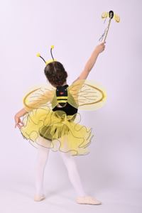 Nuevo vestido de tutú de Ballet de manga corta con diseño de abeja pequeña de Anna Shi, hermosos trajes de baile, ropa de baile - Product Image 3