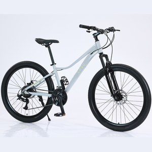 Cadre Vélo Lowrider 24 Pouces Extensible - 40cm, Chrome, Beach Cruiser - Neuf