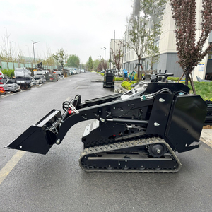 Envío Gratis, Maquinaria para Movimiento de Tierras Económica de 500kg/1000kg, Miniexcavadora con Certificación CE y EPA - Product Image 2