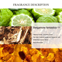 UNIQUE AROMA Huile de Parfum Bergamote Fantastico 11, Huile Essentielle Concentrée Inspirée, Meilleure Vente, Plus de 30000 Variétés, pour Spray Corporel