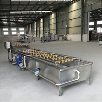Avocado Kokosnoot Ananas Fruit Groente Was- en Verwerkingsmachine met Sterilisatie Continue Transport Multifunctioneel