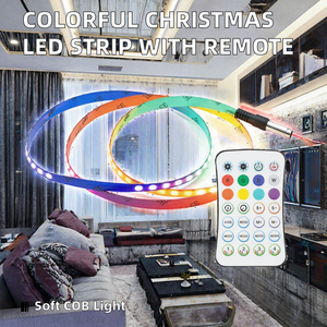 RGB <b>COB</b> <b>LED</b> <b>Strip</b> Light Bluetooth Remote Control Dimmable 24V Flexible Light String for Landscape Decor - Product Image 2