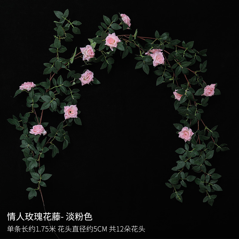 Vigne de roses rose pâle pour la Saint-Valentin