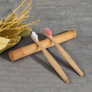 Brosse à dents en bambou pur naturel écologique Brosse à dents portable à cheveux doux Brosses écologiques Outils de nettoyage buccal - Product Image 1