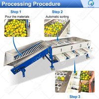 OCEAN Automatische Knoflook Sinaasappel Fruit Sorteermachine Bosbes Tomaat Reinigings- en Maat Sorteermachine