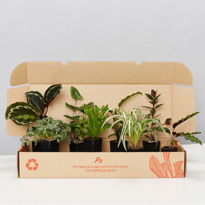 Custom plant shipping packaging boxes potted live plant shipping box for plant