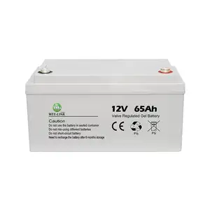 מחזור עמוק נטענת מסוג agm מחזור עמוק 12v 65ah עם 3 שנות אחריות ויילינק