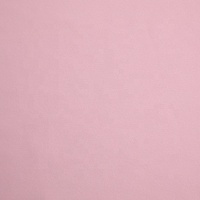Pantalones Cortos Deportivos Transpirables con Protección Solar, Tejido Peach Skin 100D, Elásticos en Cuatro Direcciones, para Niñas y Niños, 97% Poliéster, 3% Elastano