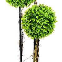 Le plus récent 120cm en plastique maison jardin décor buis boule topiaire arbre bonsaï plante arbre boule artificielle arbre topiaire