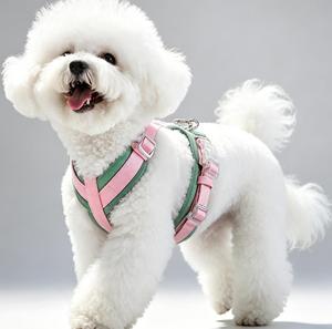 Fashion Puppy Walking <b>Harness</b> Leash Set - Product Image 1