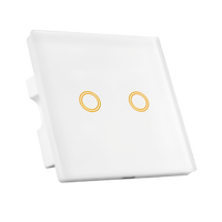 Nouvel interrupteur intelligent RGB 2 voies Zigbee WIFI pour produits de domotique et automatisation domestique