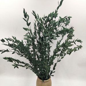 Branches d'<span class=keywords><strong>eucalyptus</strong></span> séchées naturelles et préservées, de couleurs mélangées, à feuilles fines, type Gunni, pour la décoration de la maison, des vases, des tables et des murs - Product Image 4